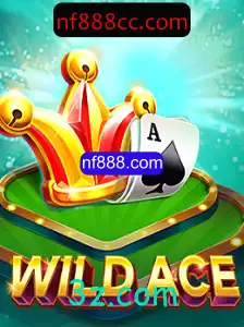 Descobrindo WildAce: Um Mergulho no Universo do Jogo e Suas Regras